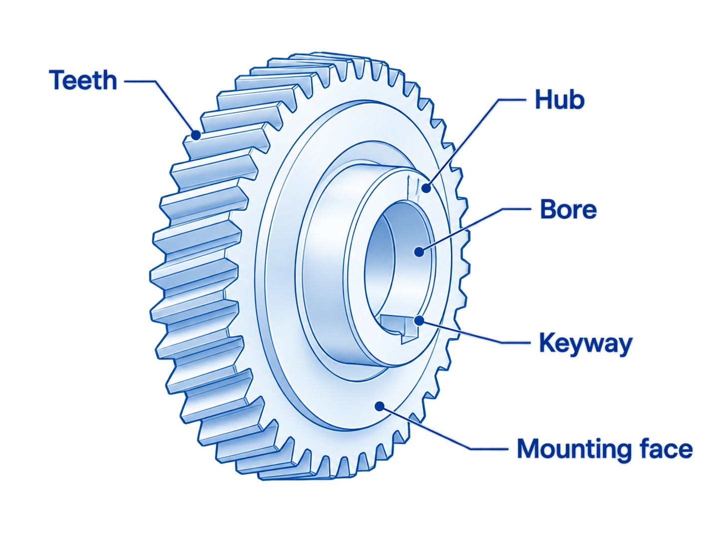 Gear diagram labeling the teeth, hub, bore, keyway and mounting face